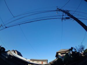 明るい展望　241106